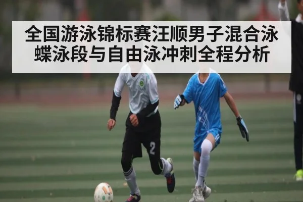 全国游泳锦标赛汪顺男子混合泳蝶泳段与自由泳冲刺全程分析